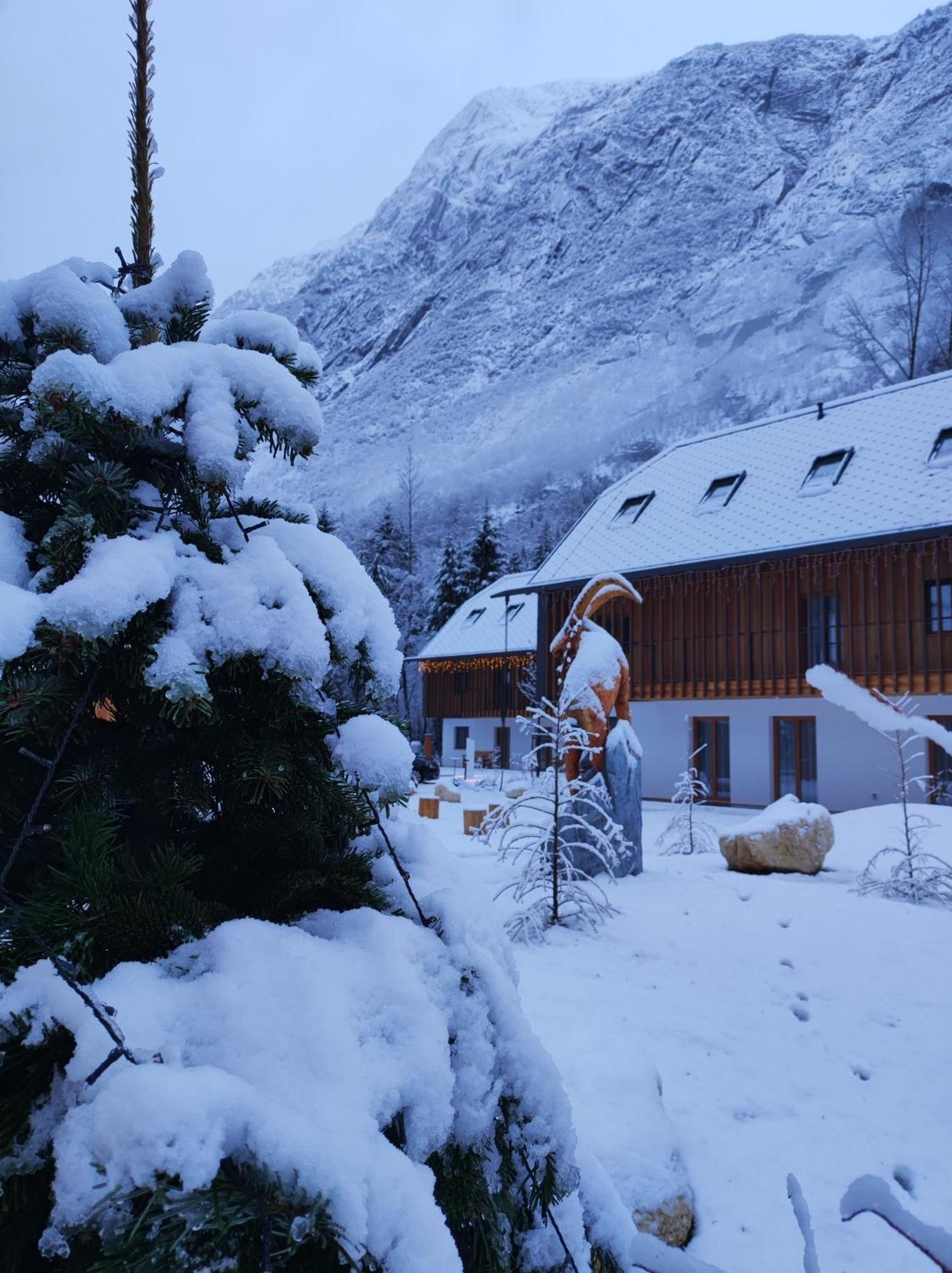 Residence Soča Buitenkant foto
